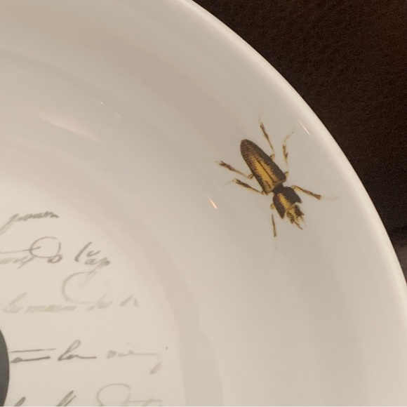 Skull with Script and Insects Porcelain Halloween Bowl - Picture 4 of 13